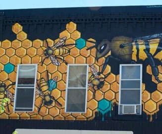 Photo: The Hive
