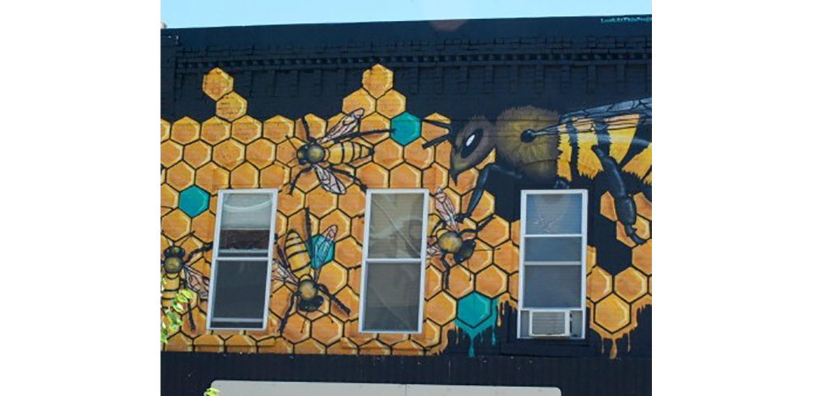 Photo: The Hive