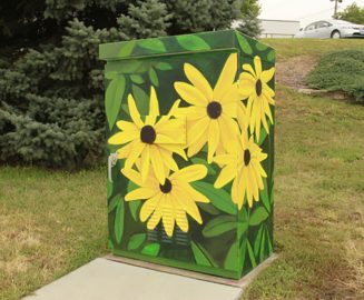 Photo: Black Eyed Susans