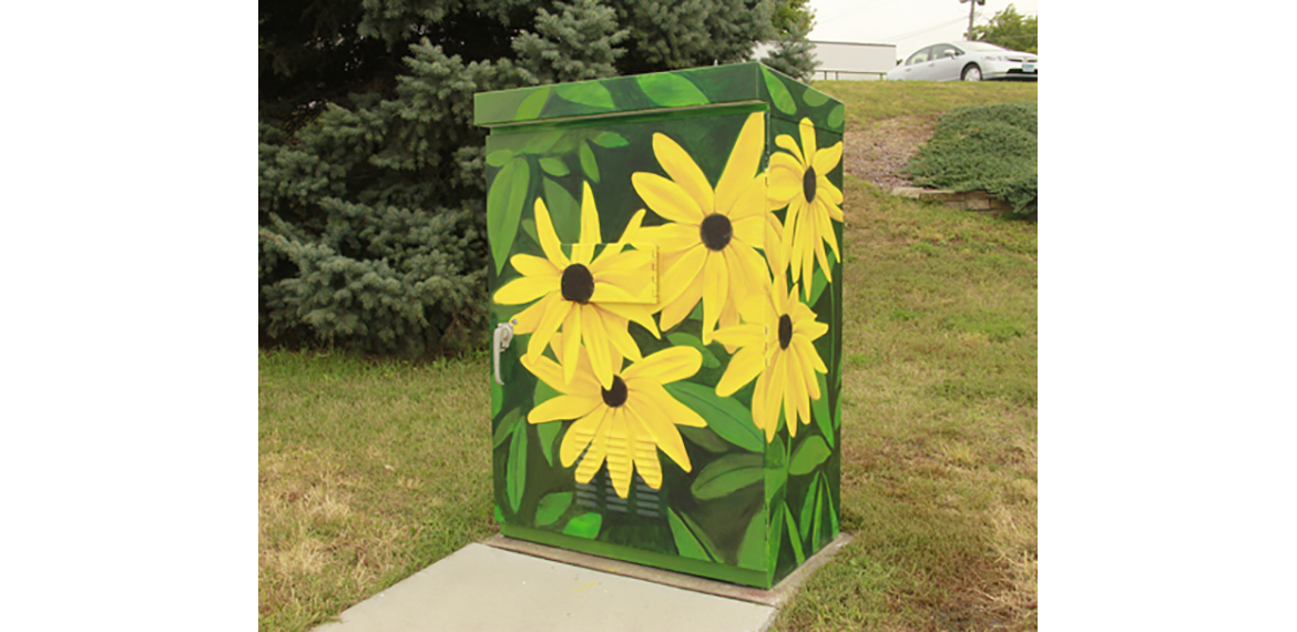 Photo: Black Eyed Susans