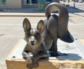 Photo: Renard Kit Fox